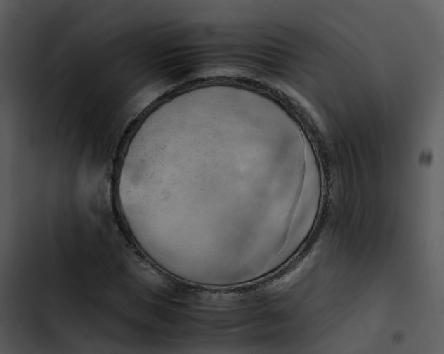 X0000102860921200809081303