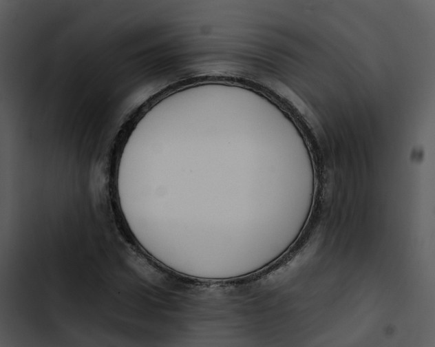 X0000102860922200809081303