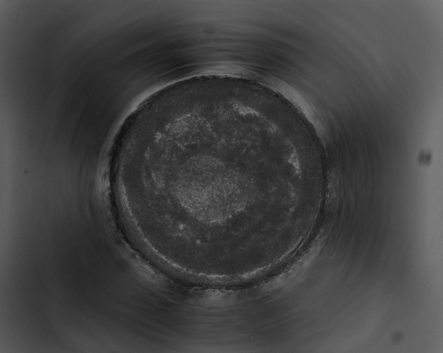 X0000102860923200809081303