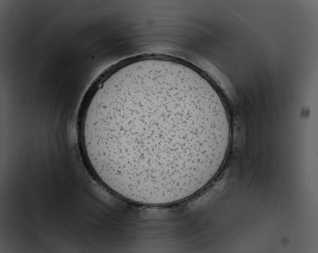 X0000102860924200809081303