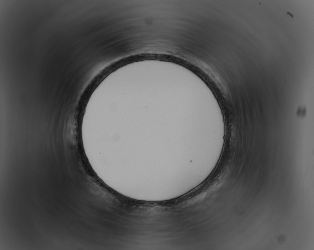 X0000102860926200809081303