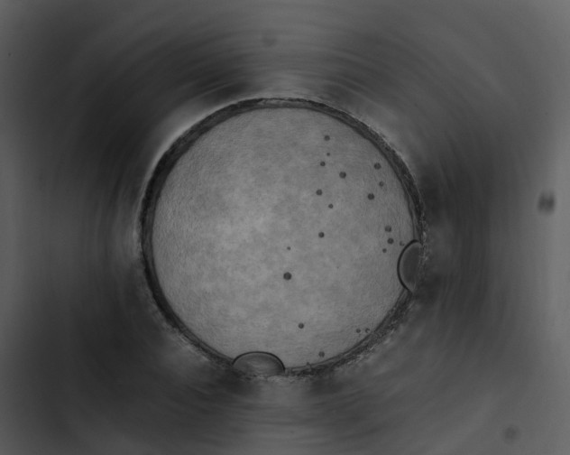 X0000102860928200809081303