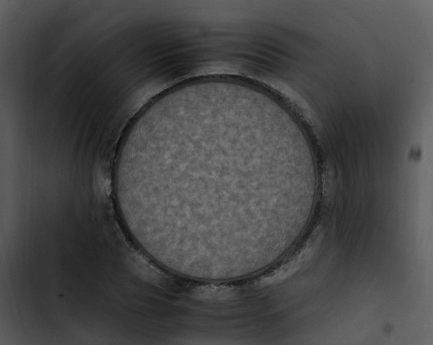 X0000102860929200809081303