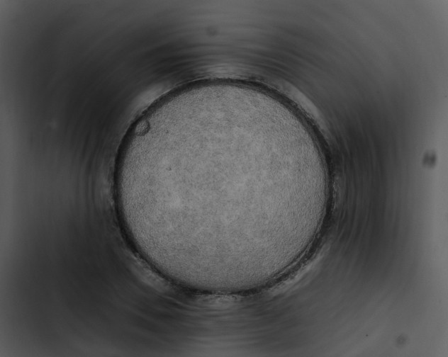 X0000102860930200809081303