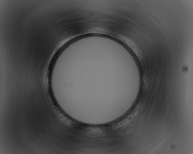 X0000102860931200809081303