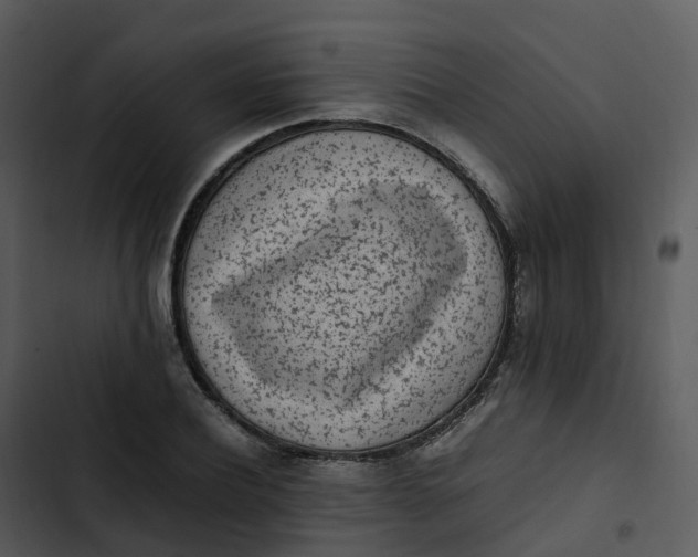 X0000102860932200809081303