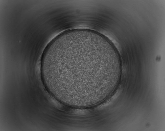 X0000102860933200809081303