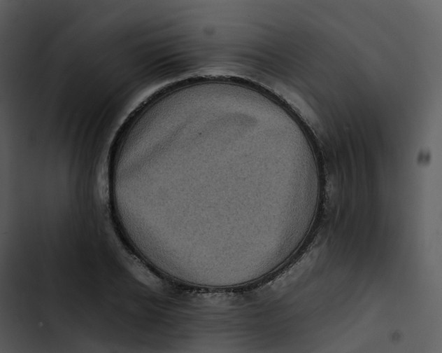 X0000102860934200809081303