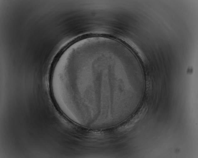 X0000102860935200809081303