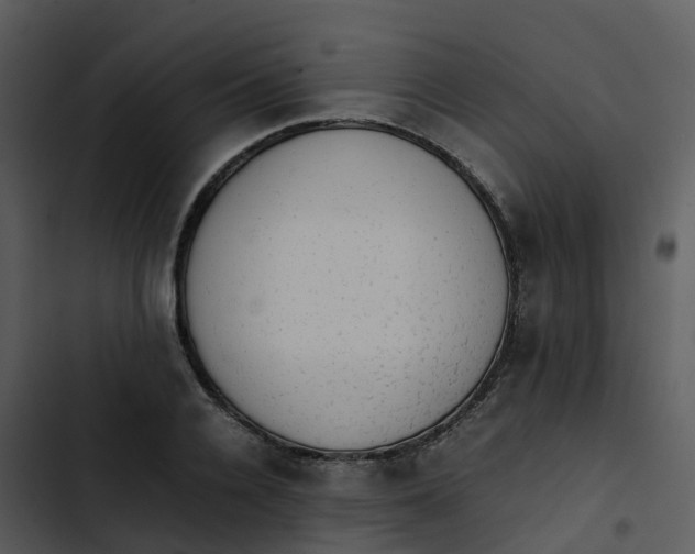 X0000102860936200809081303