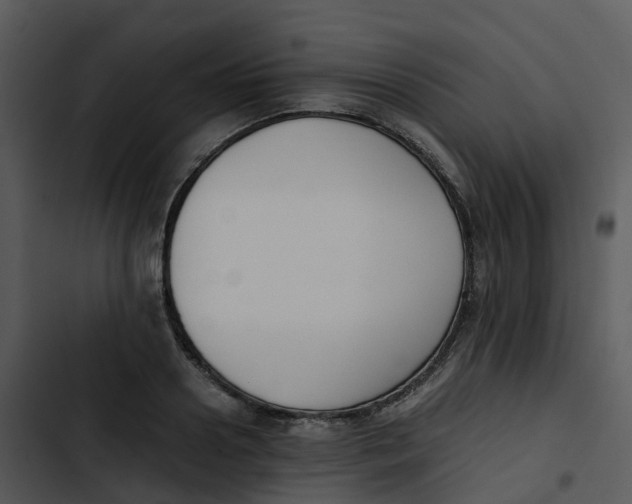 X0000102860938200809081303