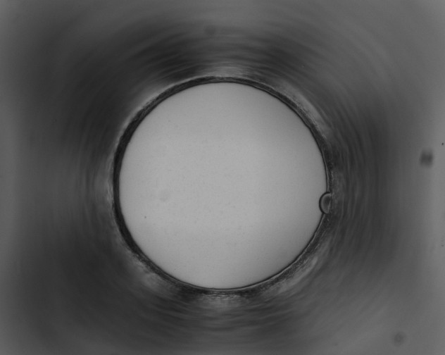 X0000102860939200809081303