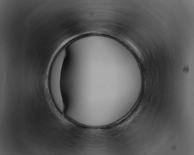 X0000102860940200809081303