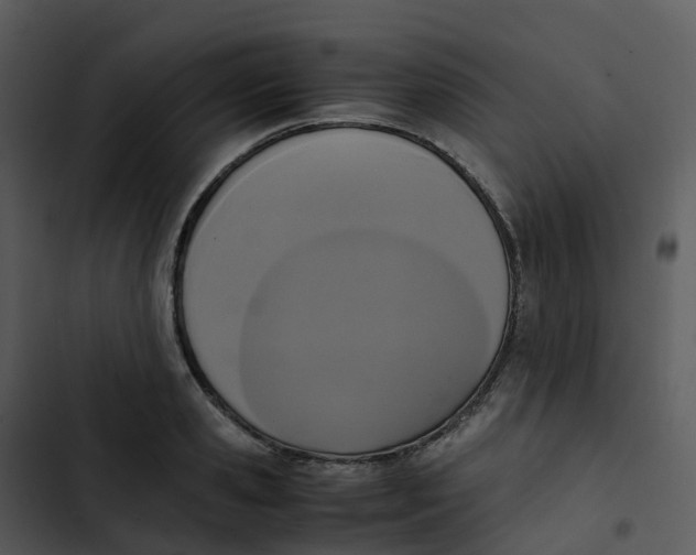 X0000102860941200809081303