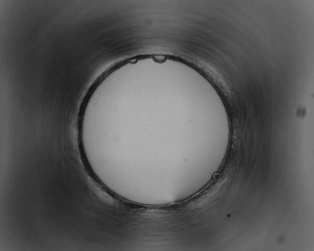 X0000102860942200809081303