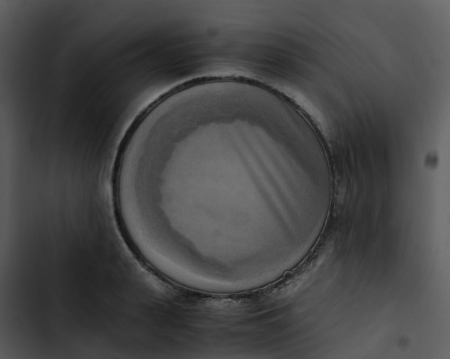 X0000102860943200809081303