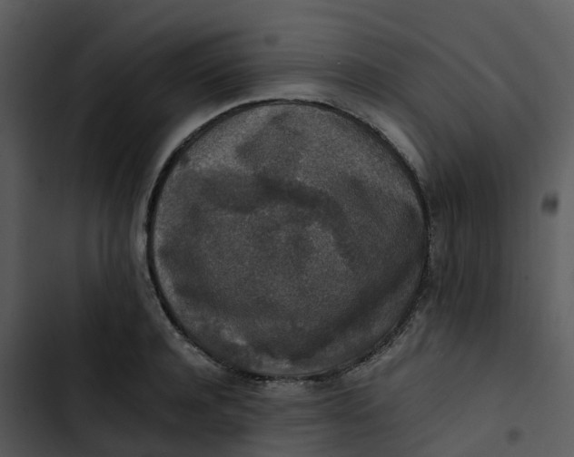 X0000102860944200809081303