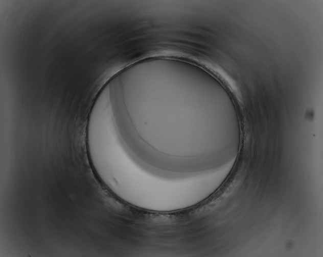 X0000102860945200809081303