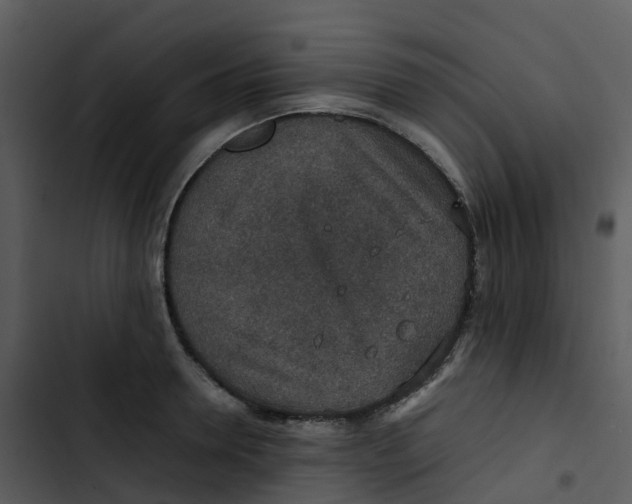 X0000102860946200809081303