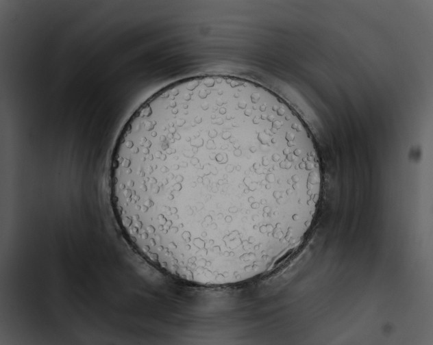 X0000102860948200809081303