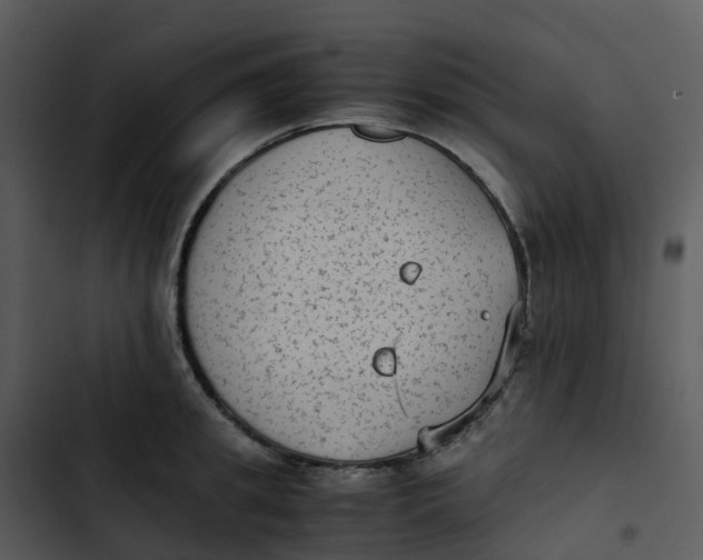 X0000102860949200809081303