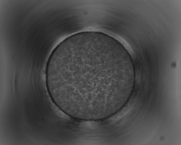 X0000102860950200809081303