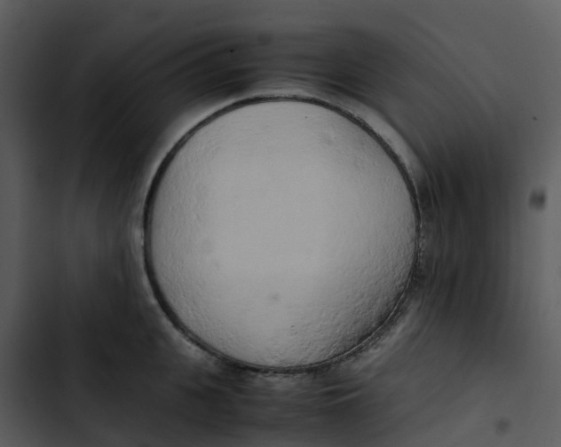 X0000102860951200809081303