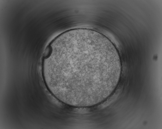 X0000102860952200809081303