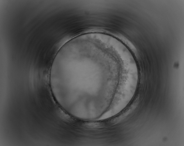 X0000102860953200809081303