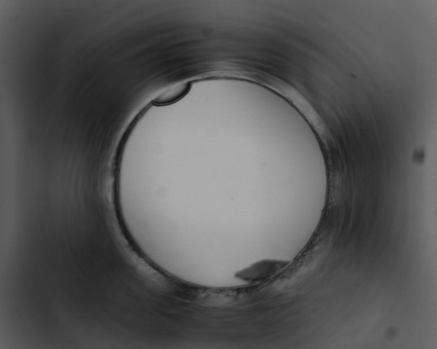 X0000102860955200809081303