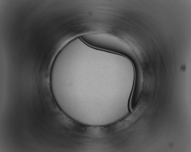 X0000102860956200809081303