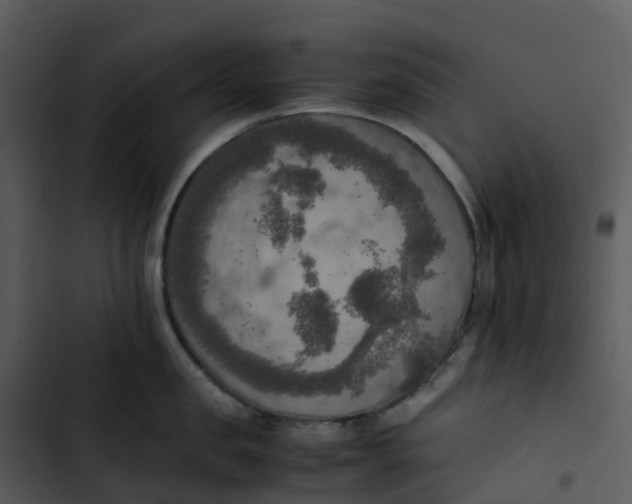 X0000102860957200809081303