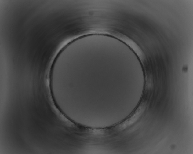 X0000102860958200809081303