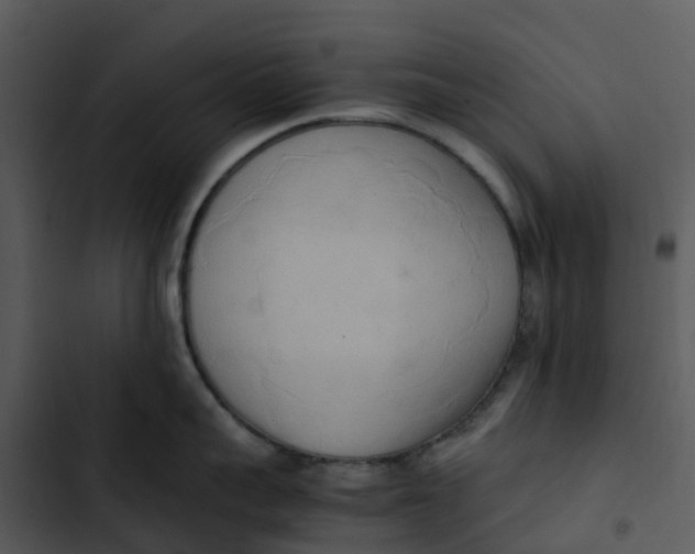 X0000102860959200809081303