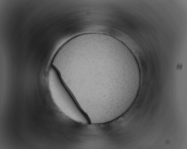 X0000102860960200809081303