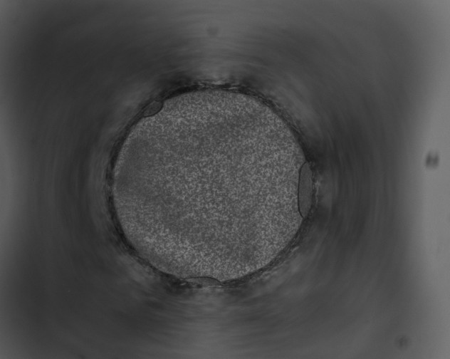 X0000102860961200809081303