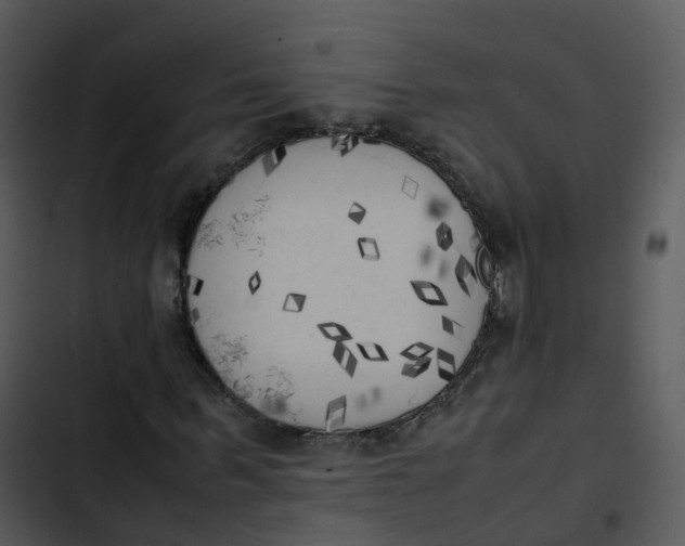 X0000102860963200809081303