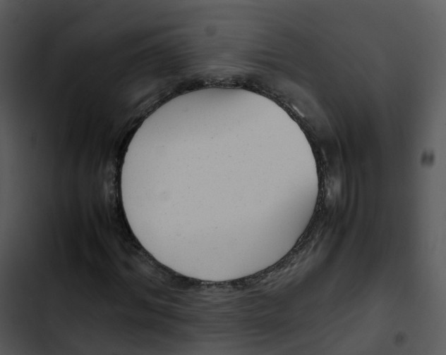 X0000102860964200809081303