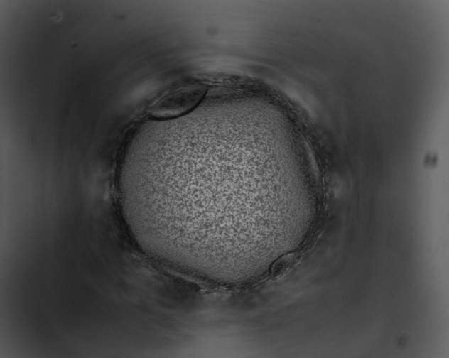 X0000102860965200809081303