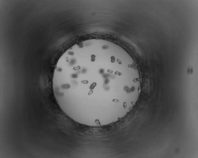 X0000102860966200809081303