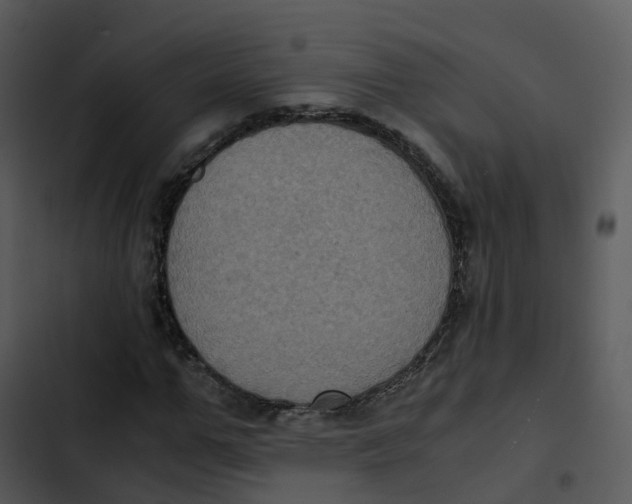 X0000102860967200809081302