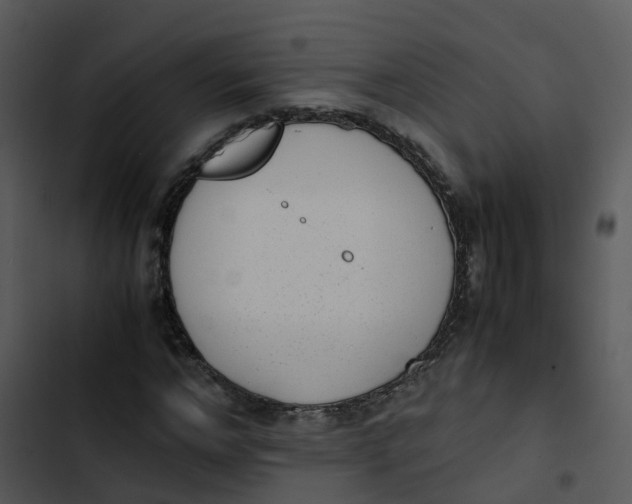 X0000102860968200809081302