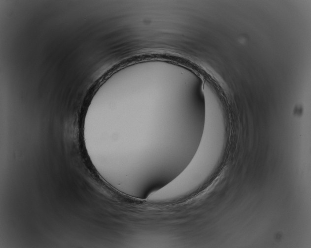 X0000102860969200809081302