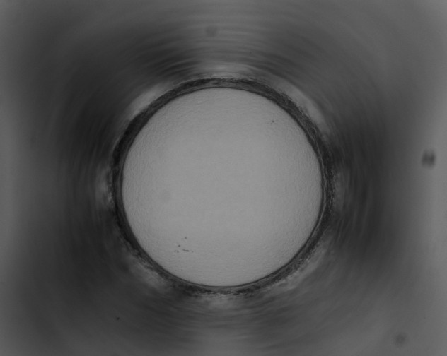 X0000102860970200809081302