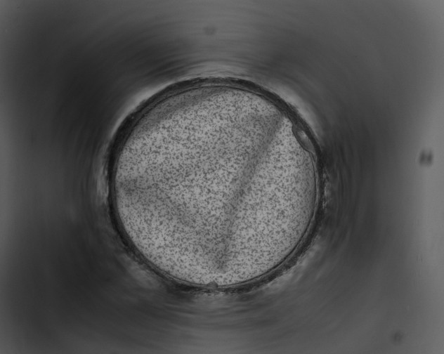 X0000102860973200809081302