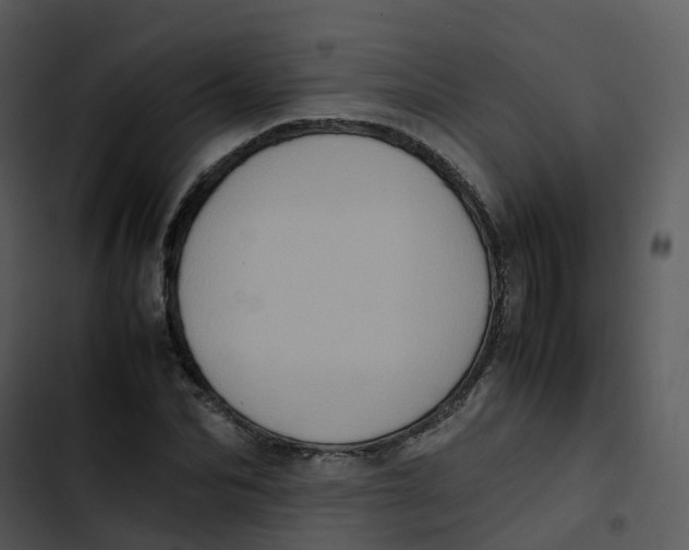 X0000102860974200809081302