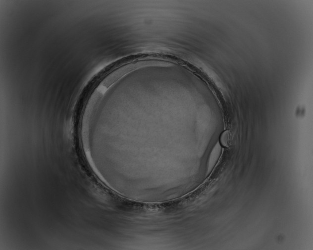 X0000102860975200809081302