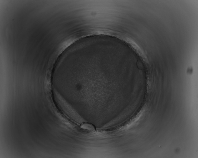 X0000102860977200809081302