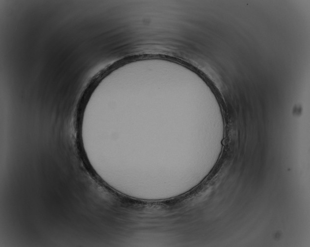 X0000102860979200809081302