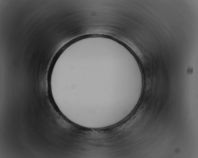 X0000102860980200809081302